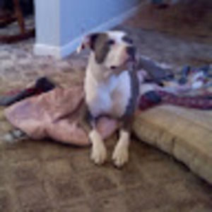 Meet your Posher, Loretta